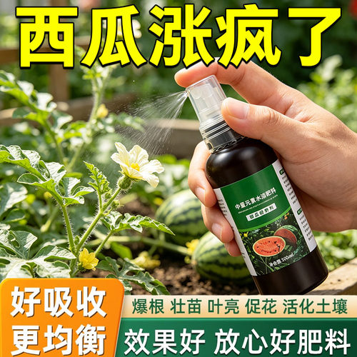 西瓜授粉专用药点花剂西瓜肥