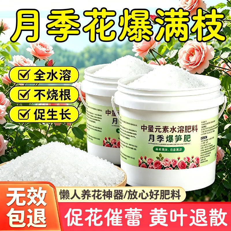月季花专用爆笋肥玫瑰花蔷薇花肥