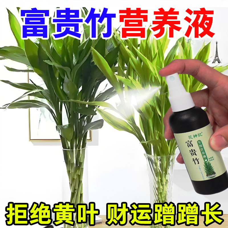 【一喷绿】富贵竹专用营养液转运观音竹子水培土培家用植物养花肥