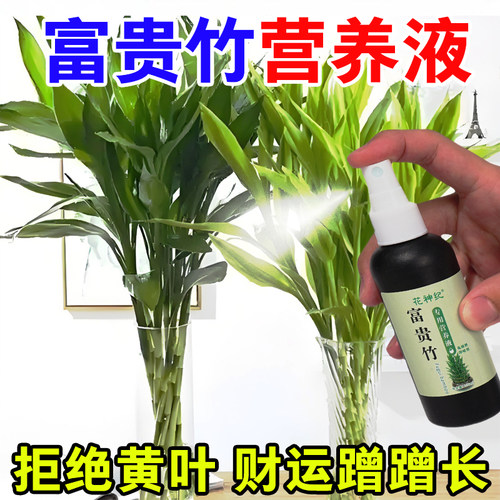 【一喷绿】富贵竹专用营养液转运观音竹子水培土培家用植物养花肥