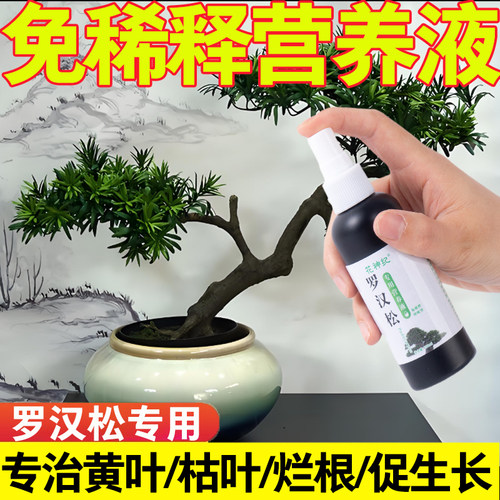罗汉松专用肥喜酸植物叶面喷施营养液防黄落枯叶烂黑根腐杀虫药剂