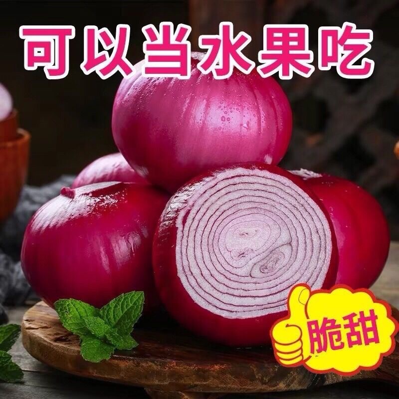 正宗云南圆葱葱头新鲜应季蔬菜农