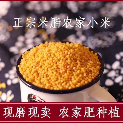 【羊粪种植】陕西米脂油小米陕北高西沟小米粥杂粮小米 2斤