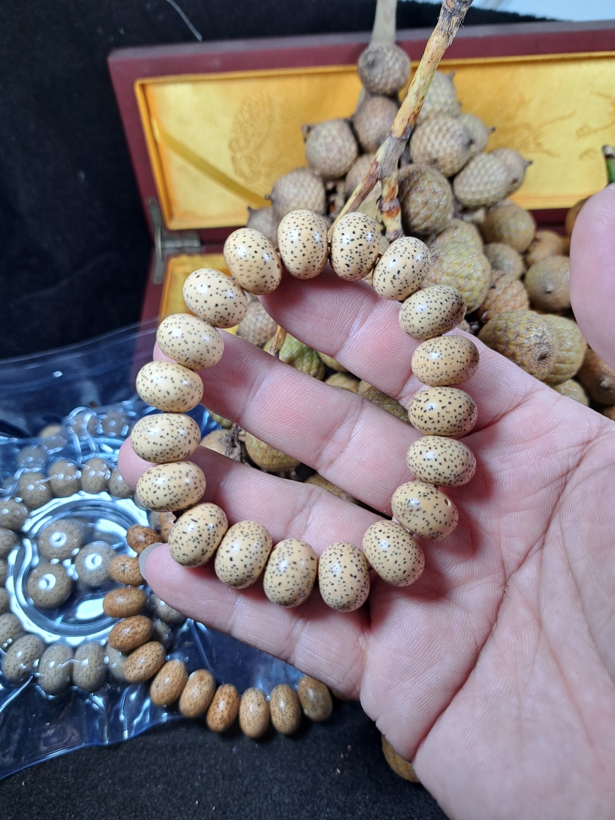 海南星月菩提原生态未脱脂老料陈籽干磨高密15*11苹果圆手串