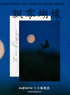 蝴蝶骨头 蝴蝶破碎感氛围唯美蓝色系摄影照片装饰墙卡片画片ins风