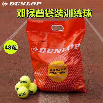 邓禄普无压训练网球耐磨高弹