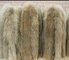 貉子狐狸毛条皮草领子皮草　帽沿