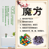 魔方体系魔方素质测评魔方学习培训 作用海报展板写真PP背胶KT板
