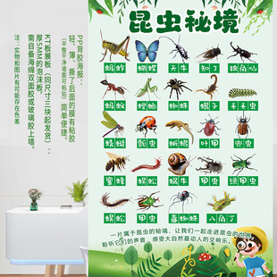 昆虫科普海报动物世界生物知识学校幼儿园科普宣传栏PP背胶广告画