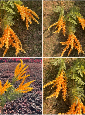 柔丽丝落新妇仿真花塑料花金银婚庆布置婚礼背景路引酒店舞台装饰