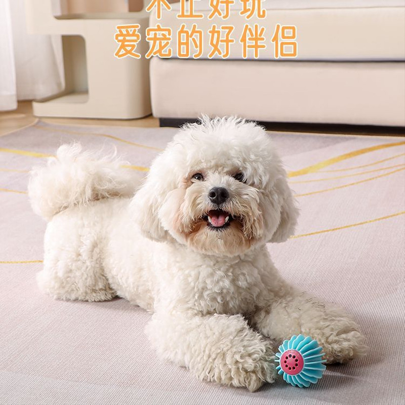 狗狗猫咪铃铛狗球球玩具宠物泰迪幼犬小狗小球磨牙耐咬逗猫玩具球