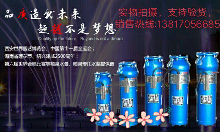 徐州双丰龙QSP65-10-3潜丰牌夜市广场音乐喷泉水泵25-9-1.1