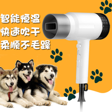 吹风机大功率静音大型犬电吹风筒1