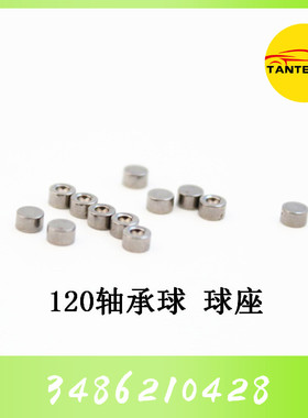 120/110系列F00VC21001/F00VC21002轴承球座瓷球钢球喷油器修理包