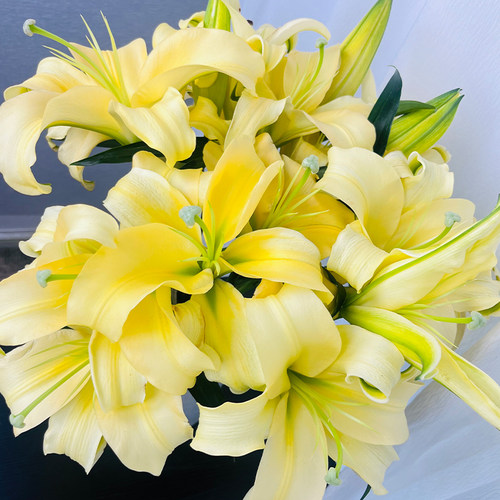 单瓣香水百合A级云南直发鲜切花