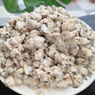 淮河河蚬子肉新鲜现剥无沙0添加蚬子炒菜烧汤蛤蜊包邮（无盐）