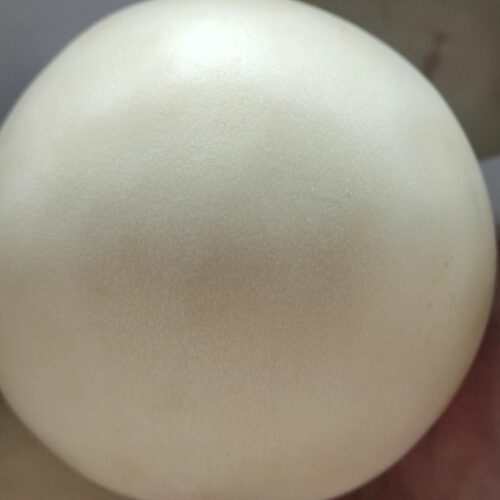 内蒙古沙漠产地种植水果网纹瓜甜红玉蜜瓜甜瓜整箱大瓜