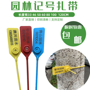 定制园林苗木锁扣打号号树标记标签标识扎带塑料封条物流二维码