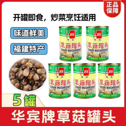 福建特产华宾草菇罐头400g*5罐