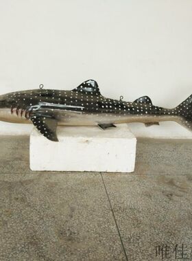 高仿真树脂鱼类海洋标本模型大白鲨鱼海豚海豹博物馆科普展示鲸鱼