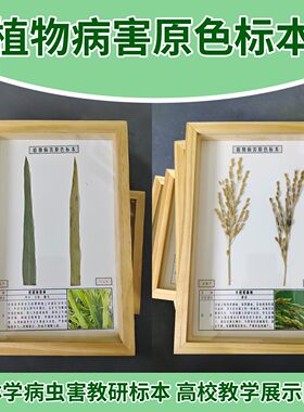 定制原色植物农作物病害病理病虫教研标本生长史展示学校教学植保