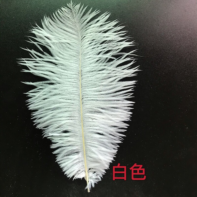 主播背景墙鸵鸟毛