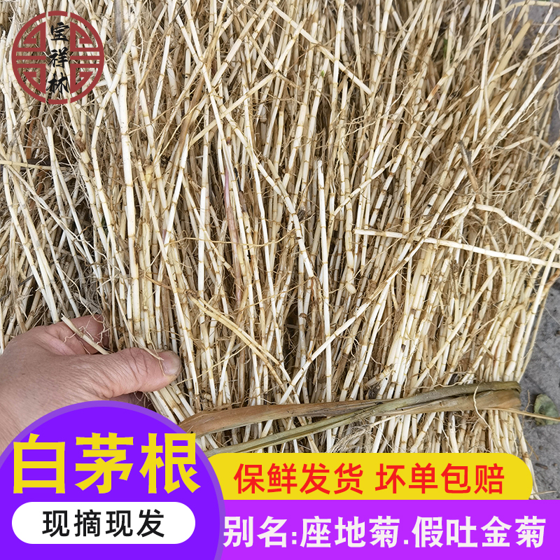 宝祥林白茅根新鲜竹蔗水毛根竹甘蔗水茅草根白毛根草白矛根竹250g