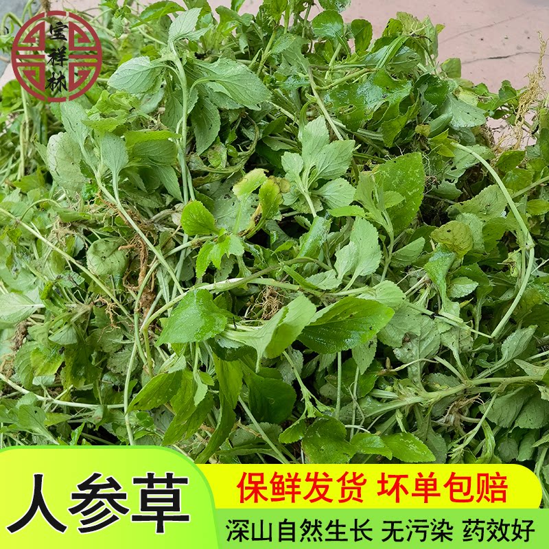 宝祥林深山七星莲潮汕人参草 新鲜茶匙黄现挖250克干品另售