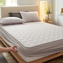 纯棉床笠单件夹棉加厚席梦思床垫保护罩床套床罩2025新款 通用 四季