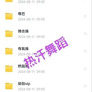 热汗舞蹈 网盘教程 热汗舞蹈录播网盘教程素材