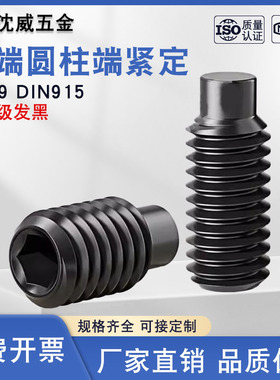 12.9级凸端圆柱端紧定螺钉GB79机米DIN915顶丝无头内六角M2.5-M36