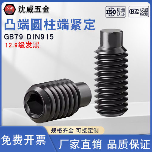 12.9级凸端紧定圆柱顶丝GB79机米