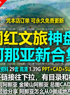 网红文旅阿那亚民宿酒店策划运营规划设计方案文本山地旅游度假区