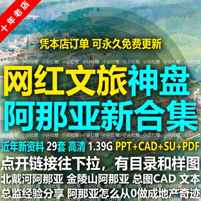 网红文旅阿那亚民宿酒店策划运营规划设计方案文本山地旅游度假区
