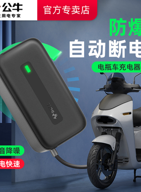 公牛电动车充电器60V72V爱玛雅迪台铃绿源自动断电电瓶车智能通用