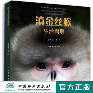 特价 金丝猴生活图解 9496 北京市科协科普创作出版资金资助项目 灵长类野生动物人类近亲 中国林业出版社