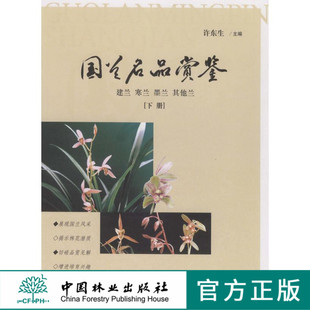 其他兰 墨兰 下册 6022 社 国兰名品赏鉴：建兰 中国林业出版 寒兰