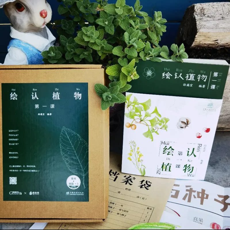 绘认植物第一课套盒  2249 孙英宝 中国林业出版社