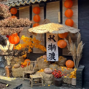 草垛秋收晒秋天环创氛围陈美布置装饰商铺院子背景墙植物草堆造景