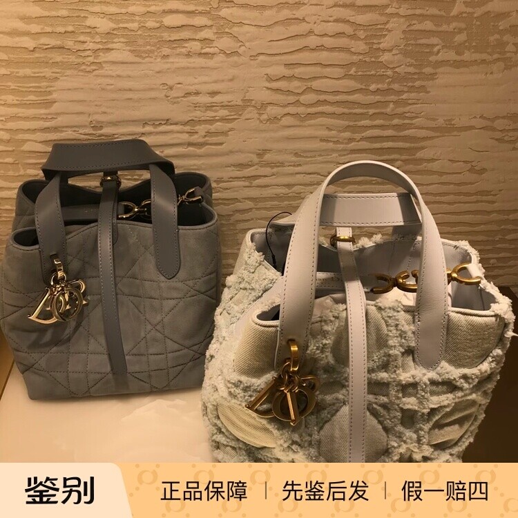 奢店代购 2026 新款正品 DIOR/迪奥 Toujours 反绒羊皮竖版水桶包