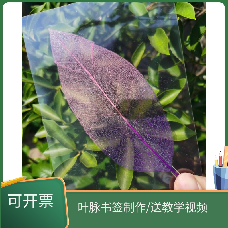 手工硬膜硬质冷裱膜树叶塑封