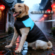 小中大型犬泰迪拉布拉多柴犬金毛保暖防水衣服小大狗狗衣服秋冬装