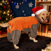 可牵引四脚衣大狗狗衣服秋冬款 拉布拉多金毛柴犬加绒中大型犬四腿