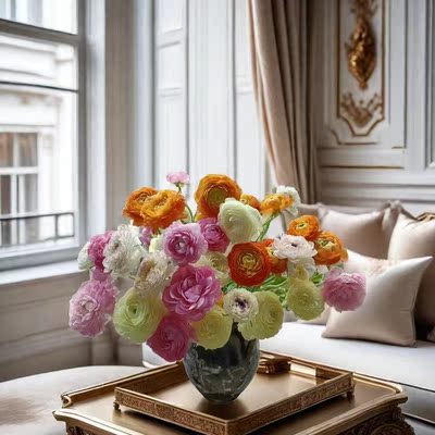 花毛茛洋牡丹花卉盆栽花苗阳台庭院植物好养观花露花期长冬季开花