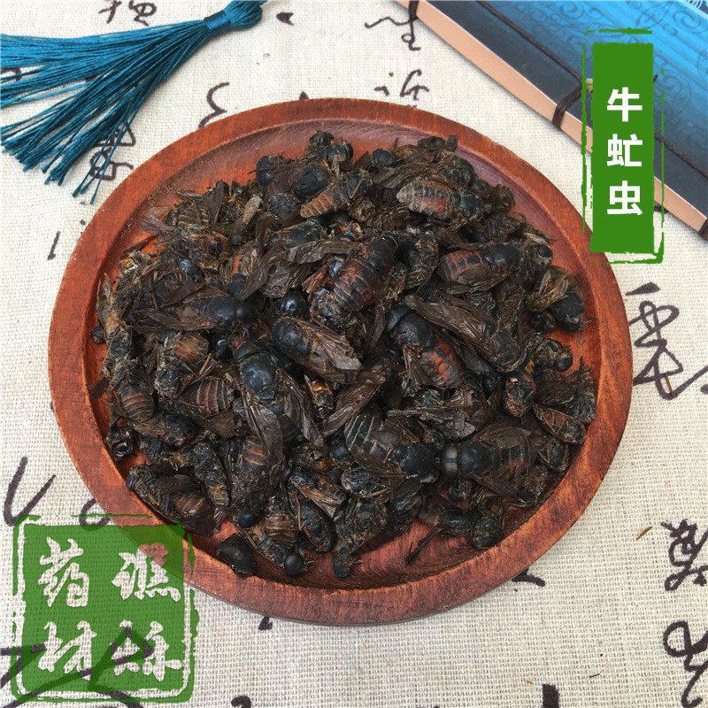 牛虻虫中药材牛苍蝇牛虻牛牤虫 牛氓虫 牛虻虫50g - 实物图