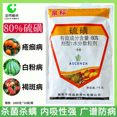 泉标80%硫磺杀菌剂黄瓜白粉病