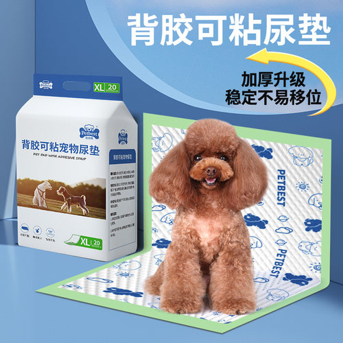 四角可粘 海量瞬吸