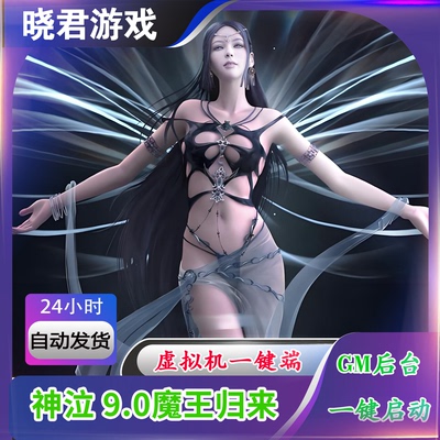 【神泣 9.0】虚拟机单机版魔王归来带GM工具命令一键启动工具