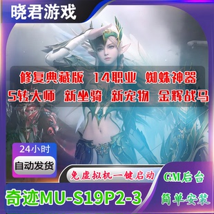 奇迹单机版MU S19P2-3免虚拟机圣导师新技能五代翅膀网游单机送GM