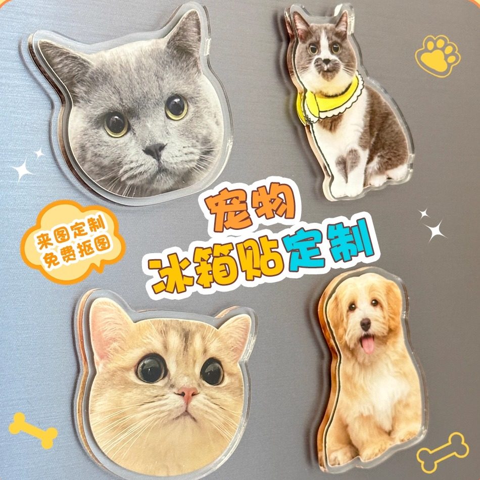 冰箱贴磁贴亚克力立体高级感卡通可爱宠物磁吸贴个性创意头像定制